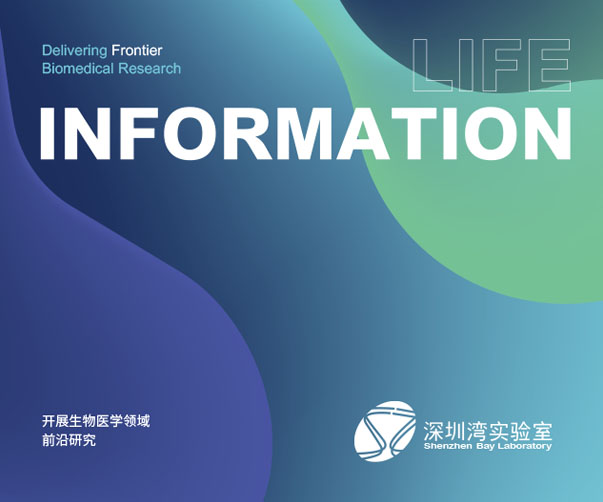 什么是品牌語言？為什么品牌語言很重要性