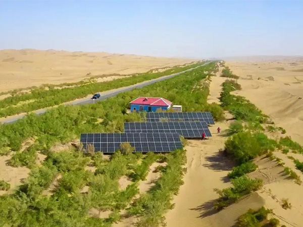 ����ľ����Gɫ���⡱���o�޺�