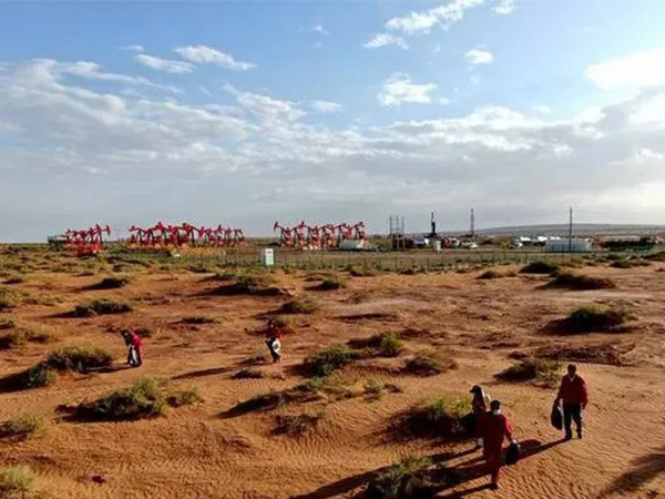 �A���͏���������(n��i)�ɹ���������ˮƽ��